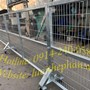 Hàng rào lưới hàn di động