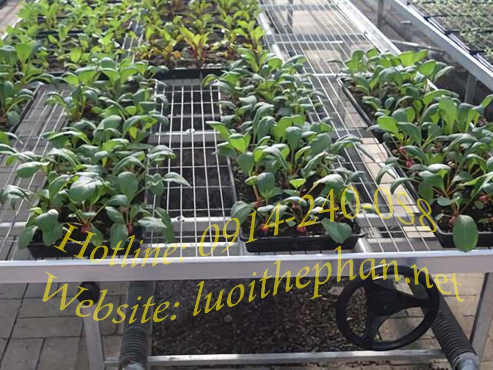 Lưới thép hàn lót kệ cây